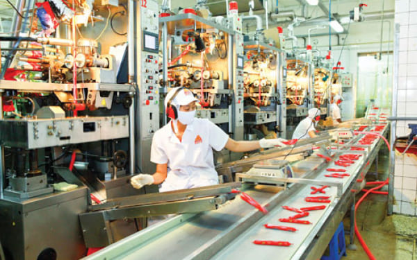 Tuyển 15 nữ chế biến thực phẩm tại tỉnh NIGATA