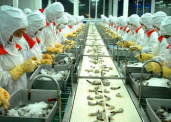 Tuyển 3 nam chế biến thủy sản tại MIE