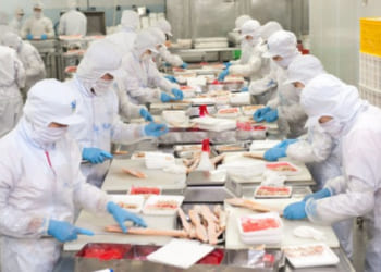 Tuyển 30 nam chế biến thực phẩm tại SAITAMA