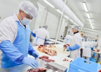 Tuyển 18 nam & nữ chế biến thực phẩm tại NIGATA