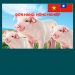 ĐÀI LOAN – Tuyển 02 Nam + 2 Nữ Lao động Nông nghiệp (Chăn nuôi lợn)